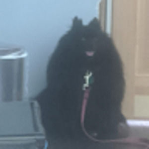 Meet your Posher, Kate